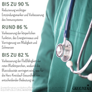 GROUNDIA - Erdungskissen